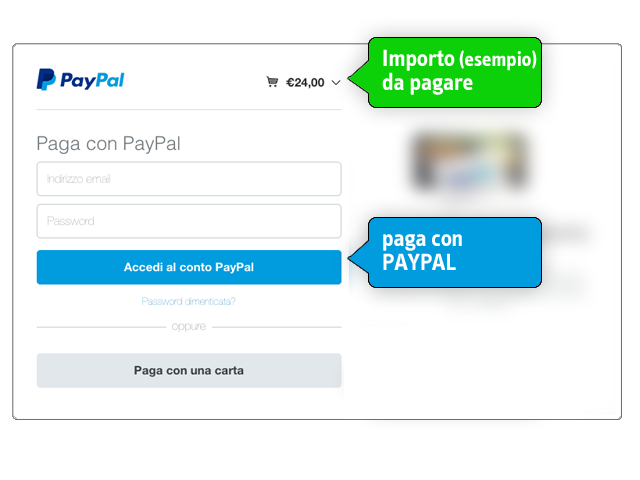 Esempio Schermata Paypal